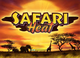 safari heat mega888